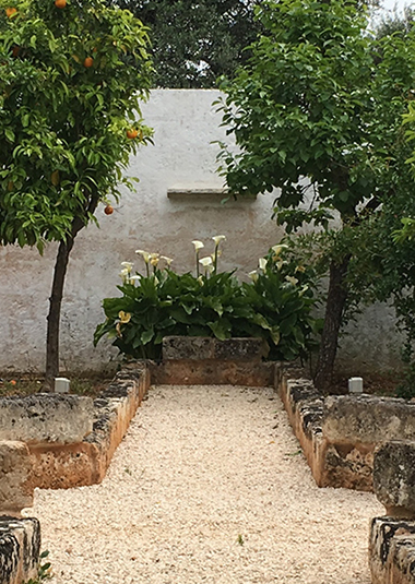 Studio Talent: Le tre corti di questa antica masseria nella campagna ostunese divengono dei giardini tematici: gli agrumi, gli ortaggi ed i fiori. Antiche pergole di vite avvolgono i colonnati della masseria.